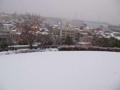 雪が積もってる大阪は初めて