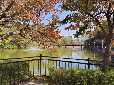 �V��������